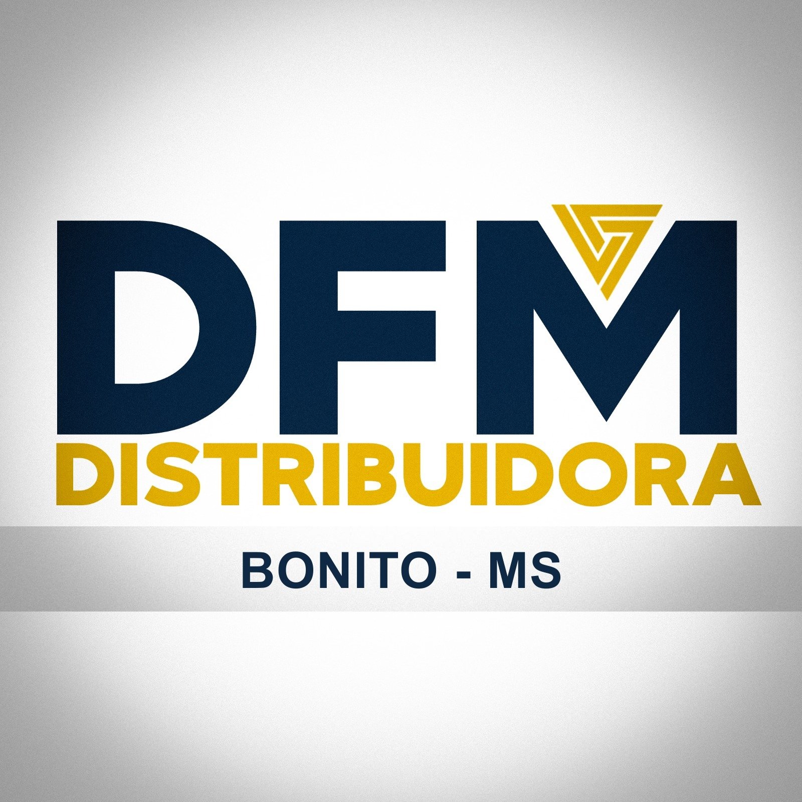 DFM Distribuidora — Bonito MS